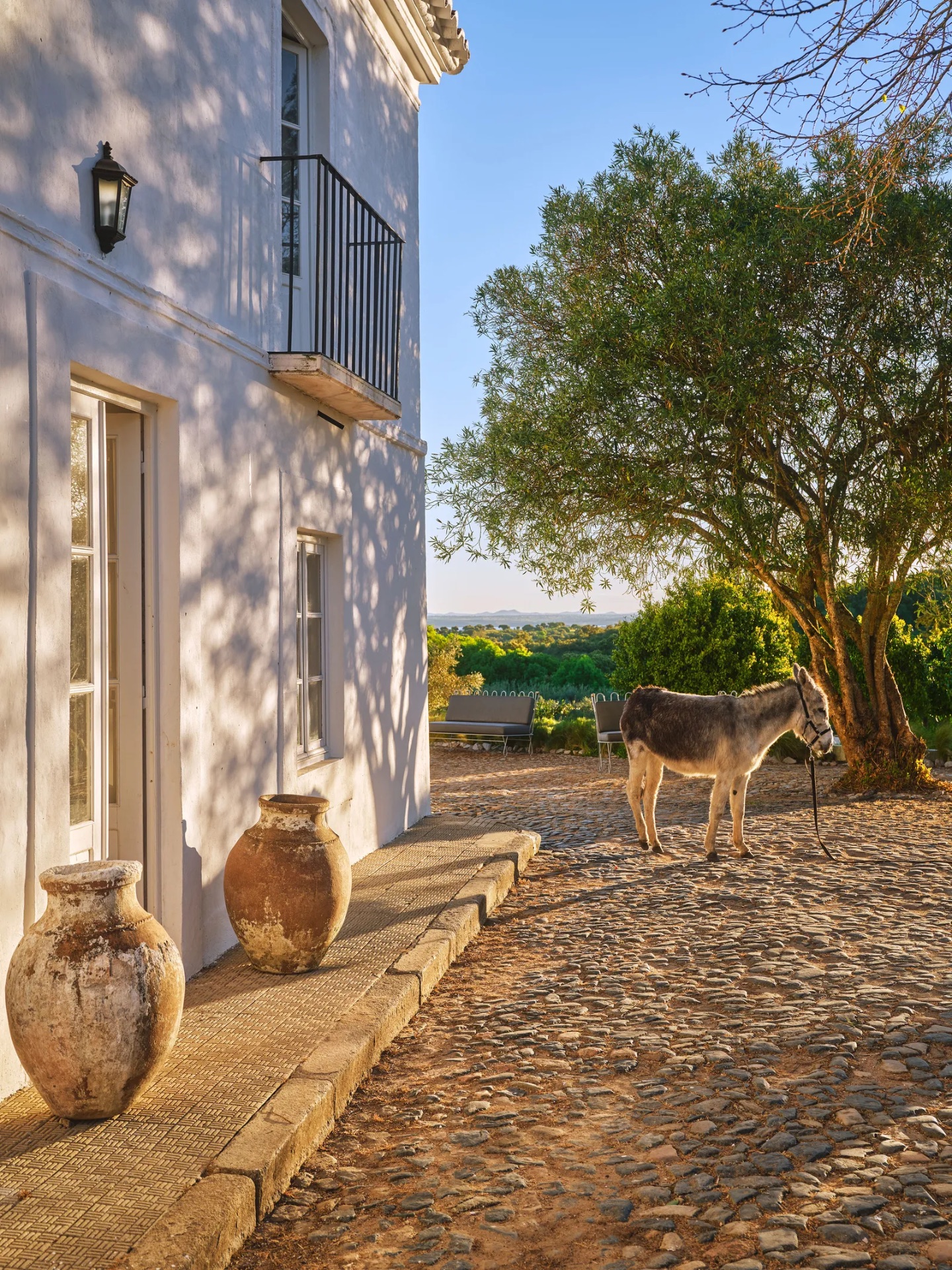 Maison de pierre et d'eau dans l'Alentejo