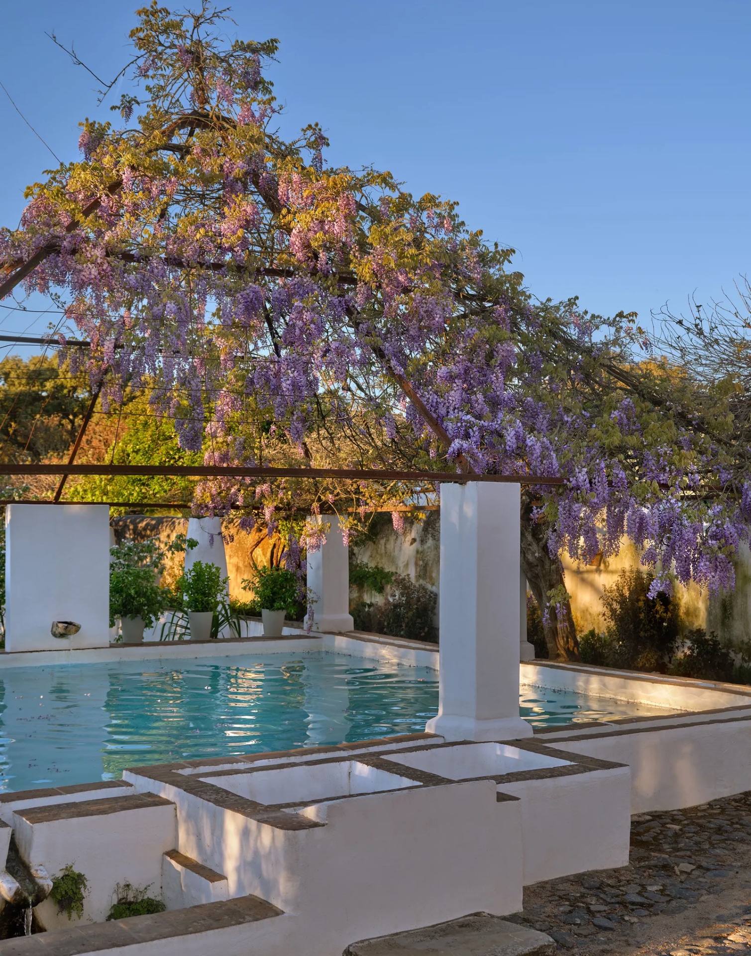 Maison de pierre et d'eau dans l'Alentejo, photo 4