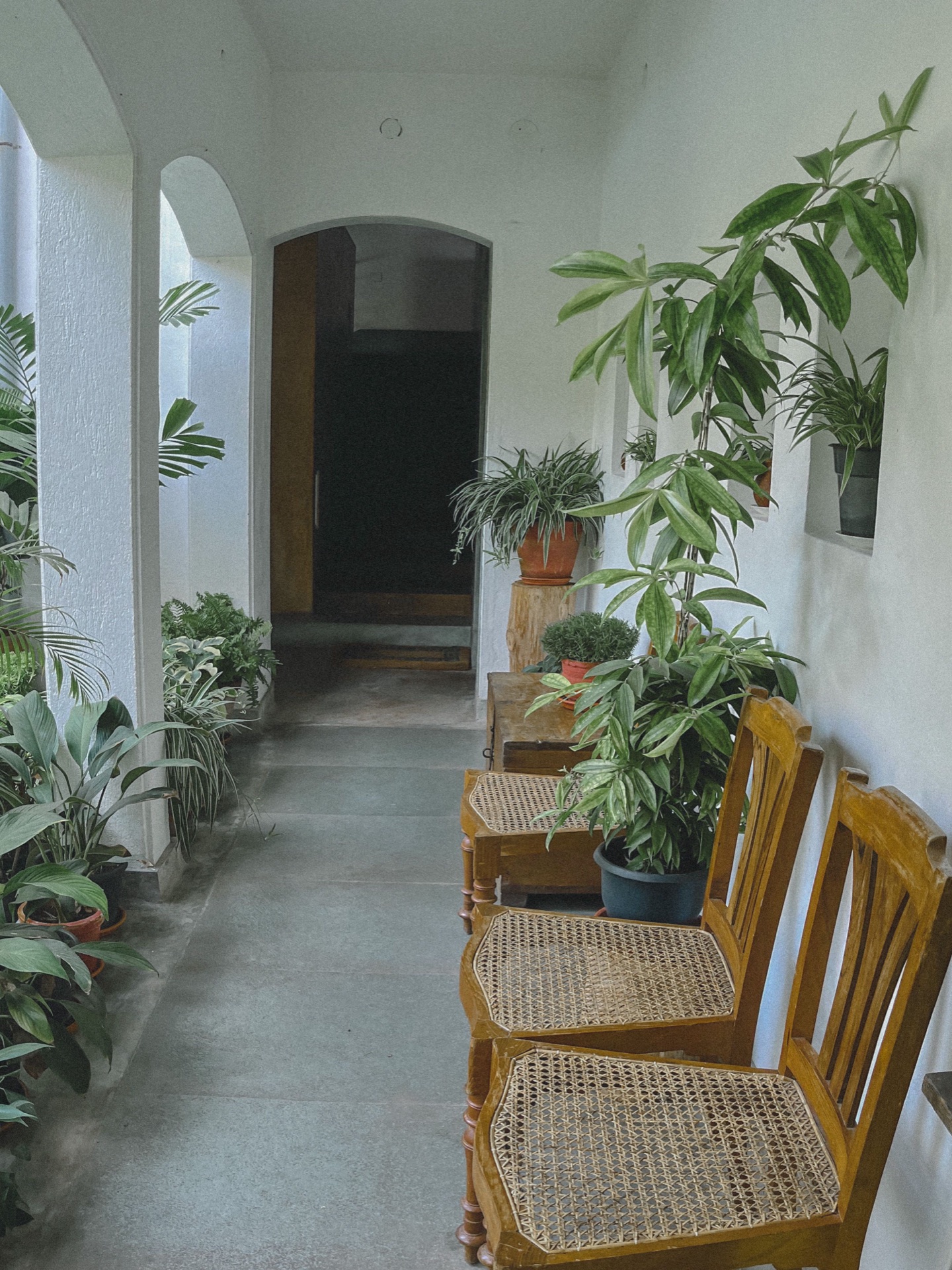 La maison tourne autour de sa lumière, photo 6